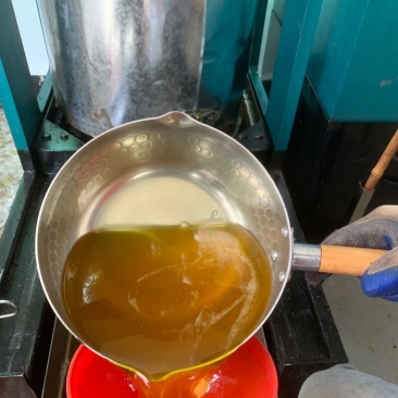 茶籽，头道压榨野生山茶籽！有机山茶油，质量保证