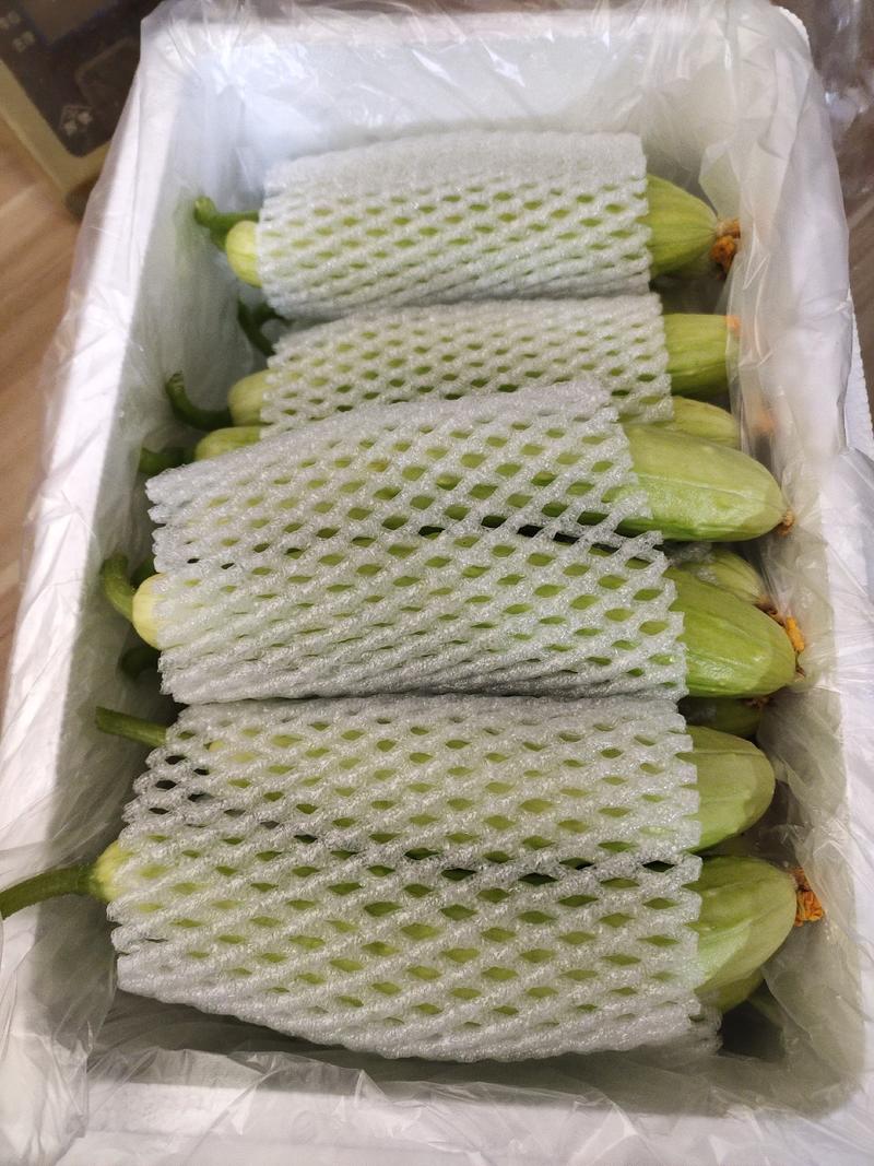 山东海阳白玉黄瓜水果黄瓜精品质量产地直发