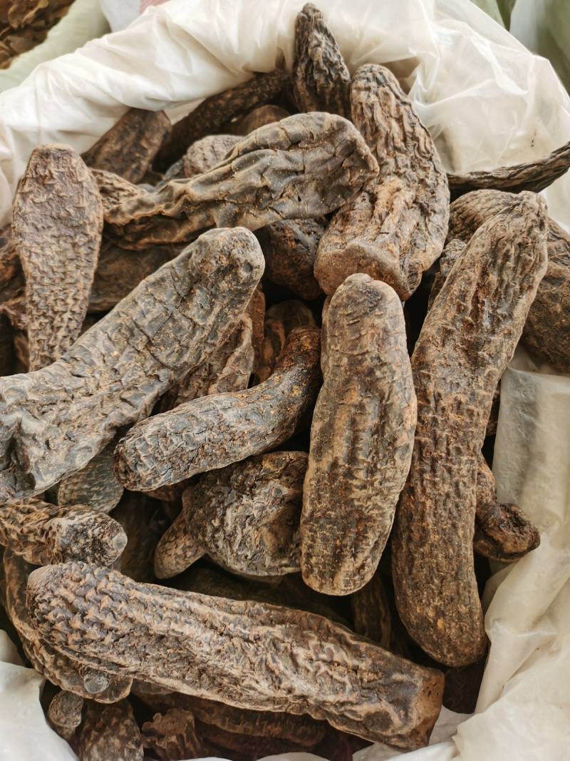 包邮新疆管花肉苁蓉一手货源肉苁蓉个子七天无理由退货