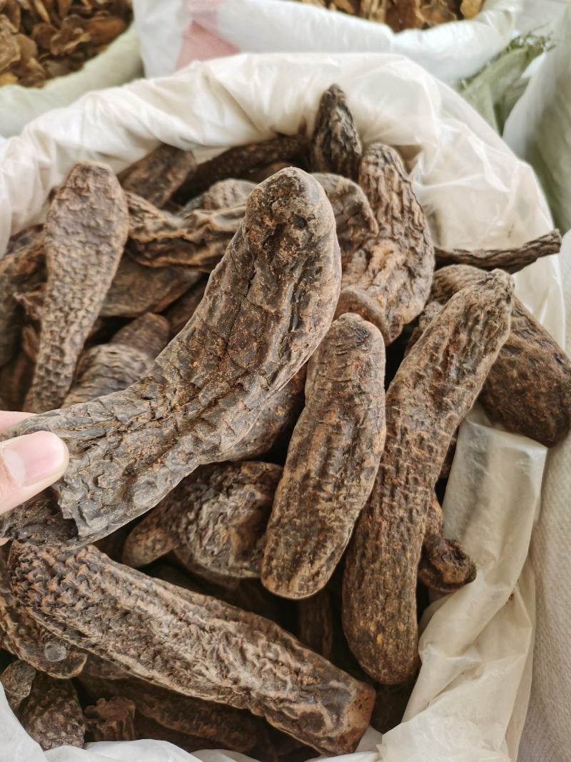 包邮新疆管花肉苁蓉一手货源肉苁蓉个子七天无理由退货
