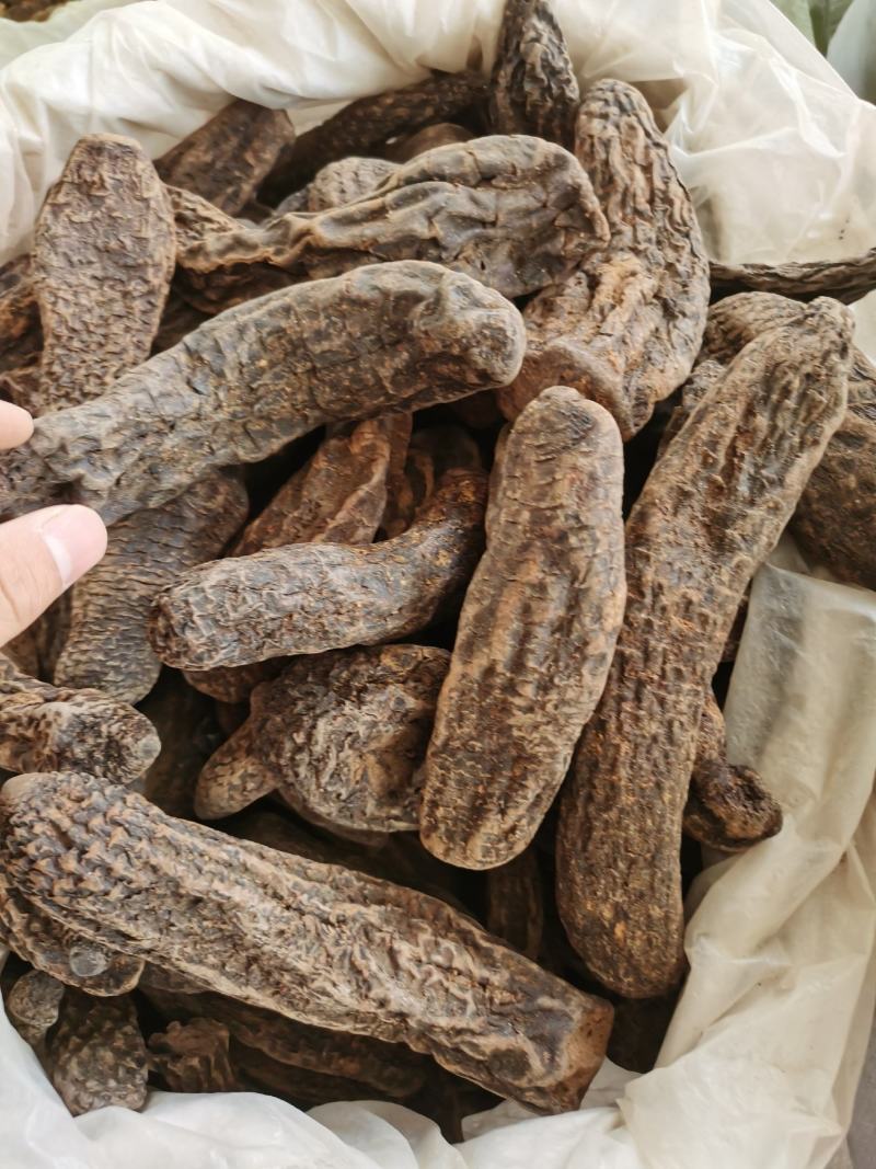包邮新疆管花肉苁蓉一手货源肉苁蓉个子七天无理由退货