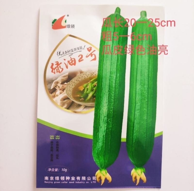 丝瓜种子绿领油绿2号中早熟瓜皮绿色油亮肉厚味浓