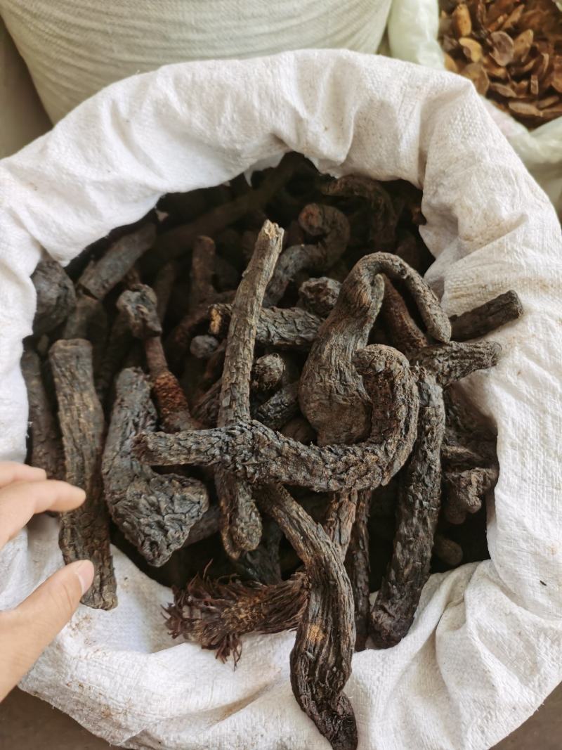 肉苁蓉包邮肉苁蓉一手货源七天无理由退货