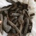 肉苁蓉包邮肉苁蓉一手货源七天无理由退货