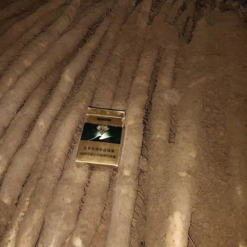 白嘴各种货都有