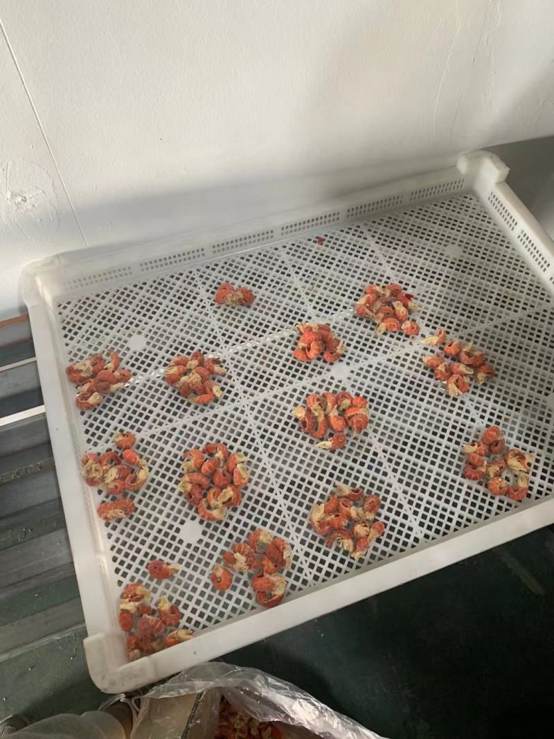 龙虾尾