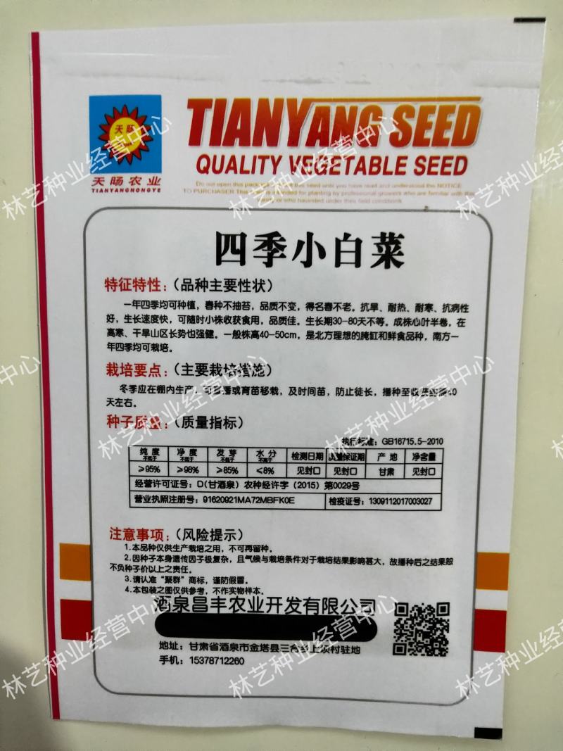四季小白菜种子春夏秋冬季种植种孑蔬菜盆栽四季种籽散装盆栽