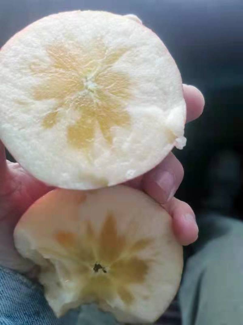 正宗新疆阿克苏冰糖心苹果