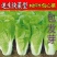 原装快菜种子四季速生耐寒耐热大小白菜籽可阳台盆栽杂交蔬菜