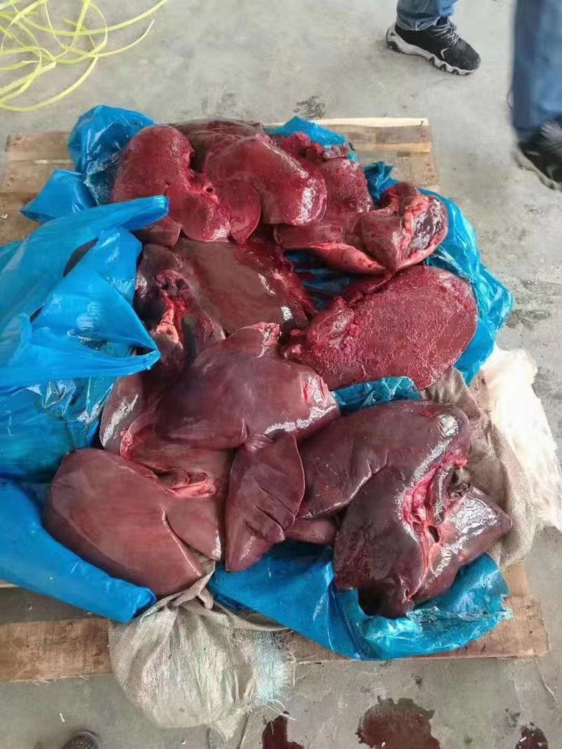 切块带肉脊骨颜色新鲜，欢迎新老朋友光临冻品，全国发货
