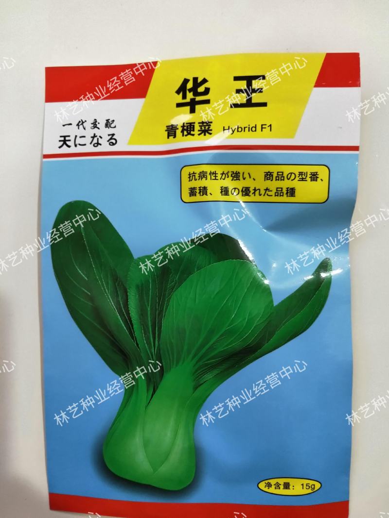 华王青梗菜种菜籽蔬菜种子耐热抗病高产生长快速青菜快菜种孑