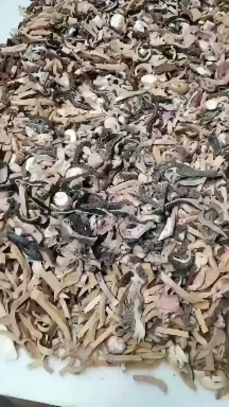 十分熟五香羊杂，羊头，羊肚，心肺肝，肠全套