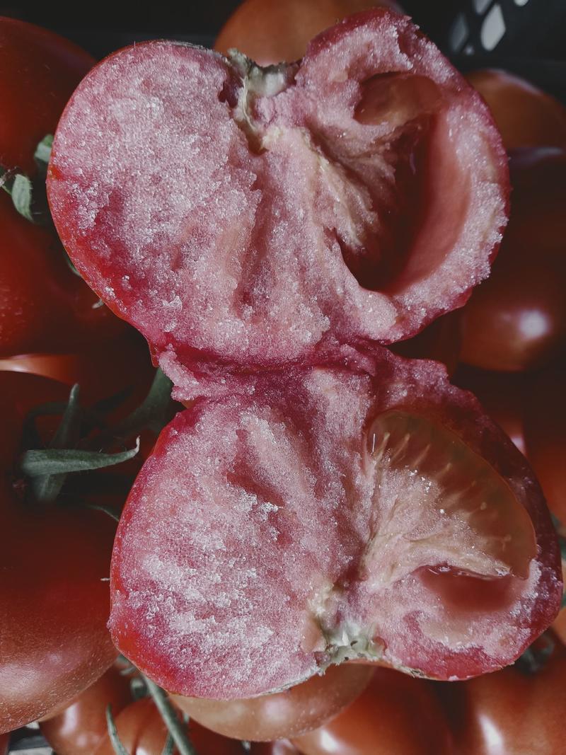 【精品】山东大红西红柿大量上市沙瓤物美价廉欢迎选购