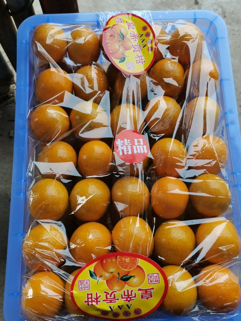 皇帝柑贡柑