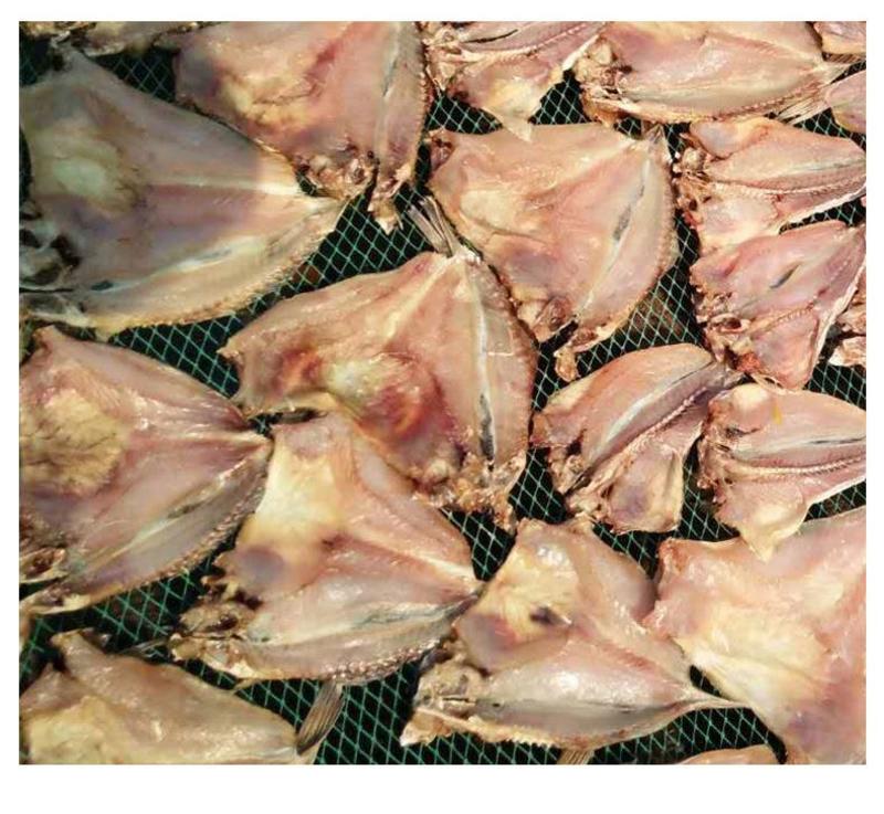 开片石斑鱼大头鱼开片鱼干去头去肚北海特产海鲜九成干咸鱼干