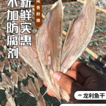 北海去头去内脏龙利鱼干8成干微咸鱼干海鲜干货踏板鱼干包邮