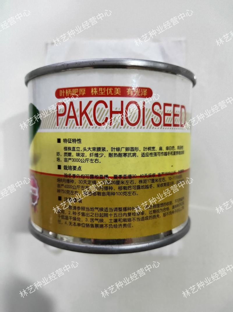 华冠青梗菜种子上海青鸡毛菜阳台盆栽四季速生青菜