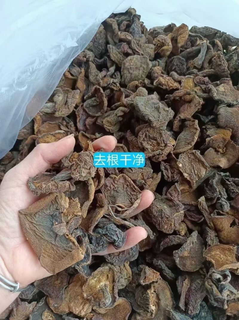 内蒙松蘑自然晾干去根干净气味好