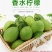 一级青果55斤一件