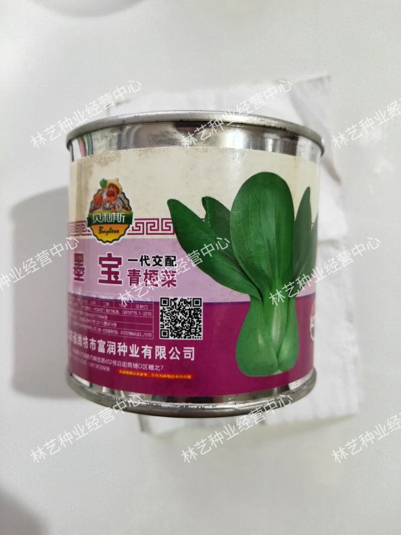 墨宝青梗菜种籽鸡毛菜四季种植耐热有机速生小白菜蔬菜种子