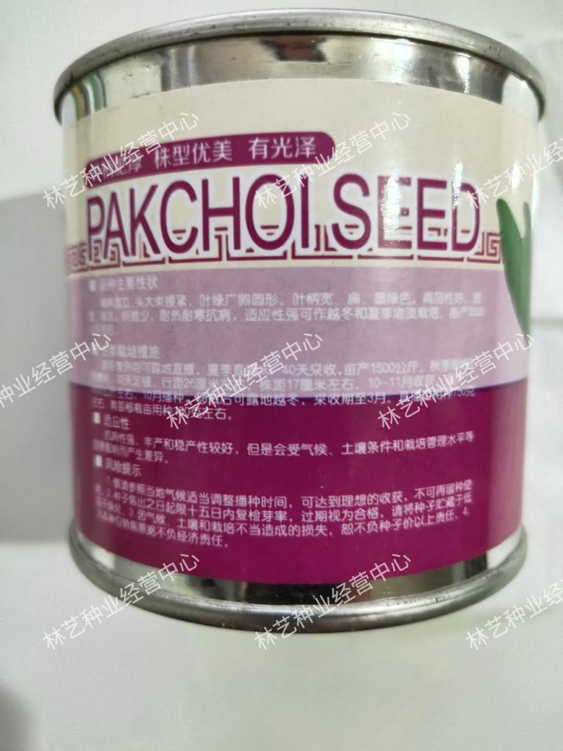 墨宝青梗菜种籽鸡毛菜四季种植耐热有机速生小白菜蔬菜种子
