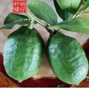 一级青果55斤一件