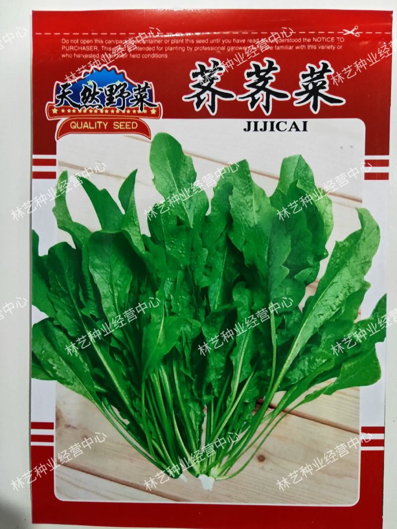 野生荠荠菜种子野菜荠菜清香鲜嫩阳台四季易种播盆栽特色蔬菜