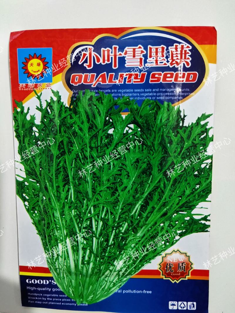 雪里红四季可种小叶雪里蕻种子可腌制四季蔬菜种子