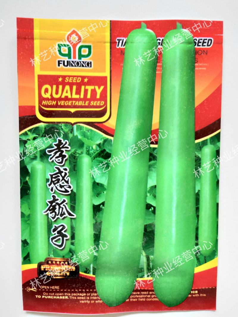 孝感瓠子种子瓠子种子长瓠瓜种子有机瓠子菜葫芦瓜种子
