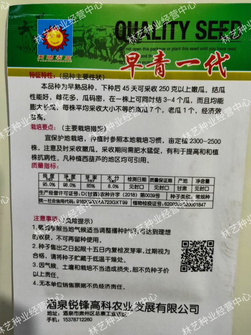 早青一代西葫芦种子正品四季种植蔬菜种孑高产易种植盆栽
