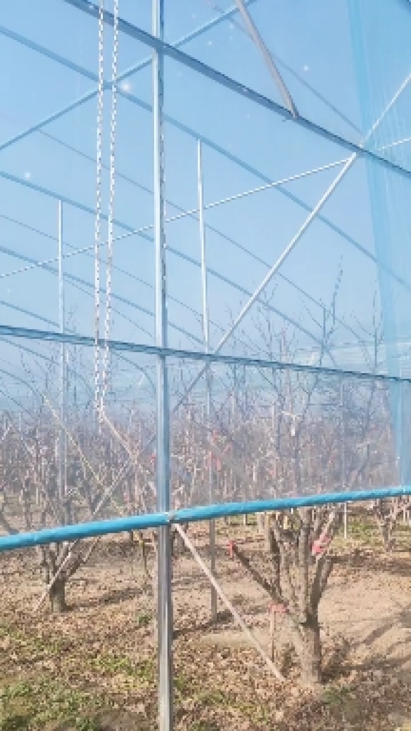 大棚温室骨架