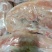 联系我时说在一亩田上看到的，新鲜兔肉，精品老兔，各种规格