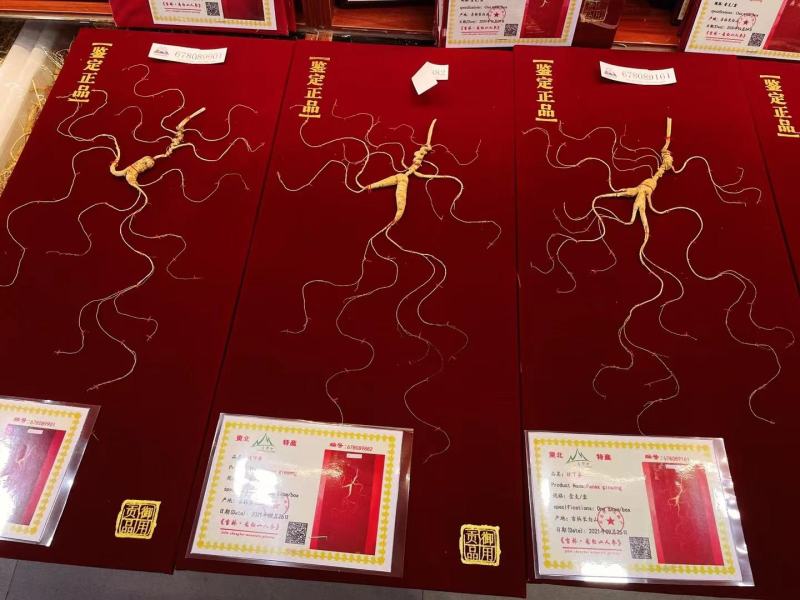 【送礼佳品】长白山精品高年头林下参，野山参，配高档皮盒，