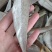 皮棍鱼，一款咸鱼，没有任何乱刺，质量保证，净13斤