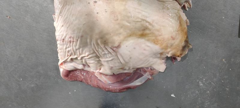 精品带皮羊肉，产地直发，保质保量，欢迎老板选购