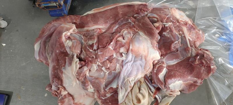 精品带皮羊肉，产地直发，保质保量，欢迎老板选购