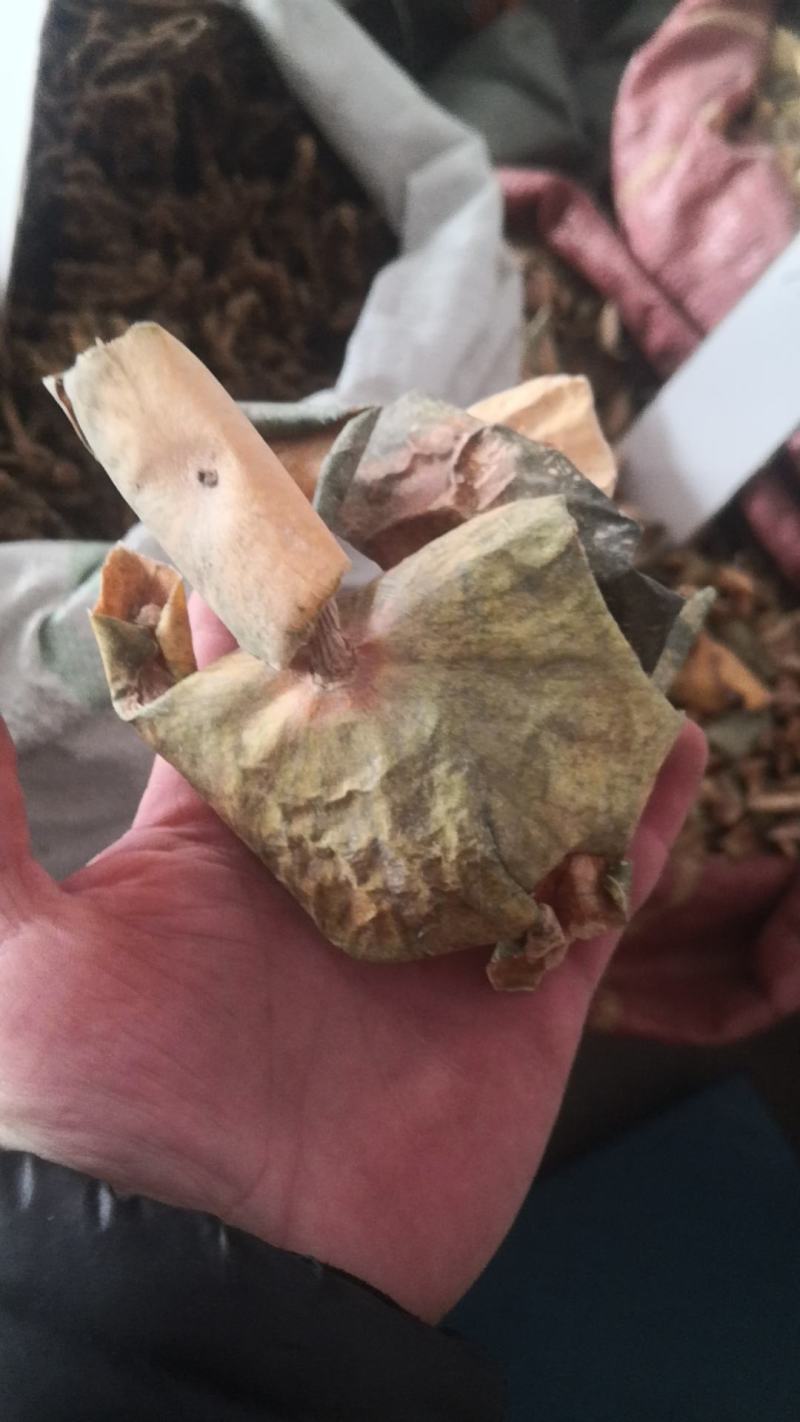 西瓜皮干货农副产品不满意可退换货只做正品