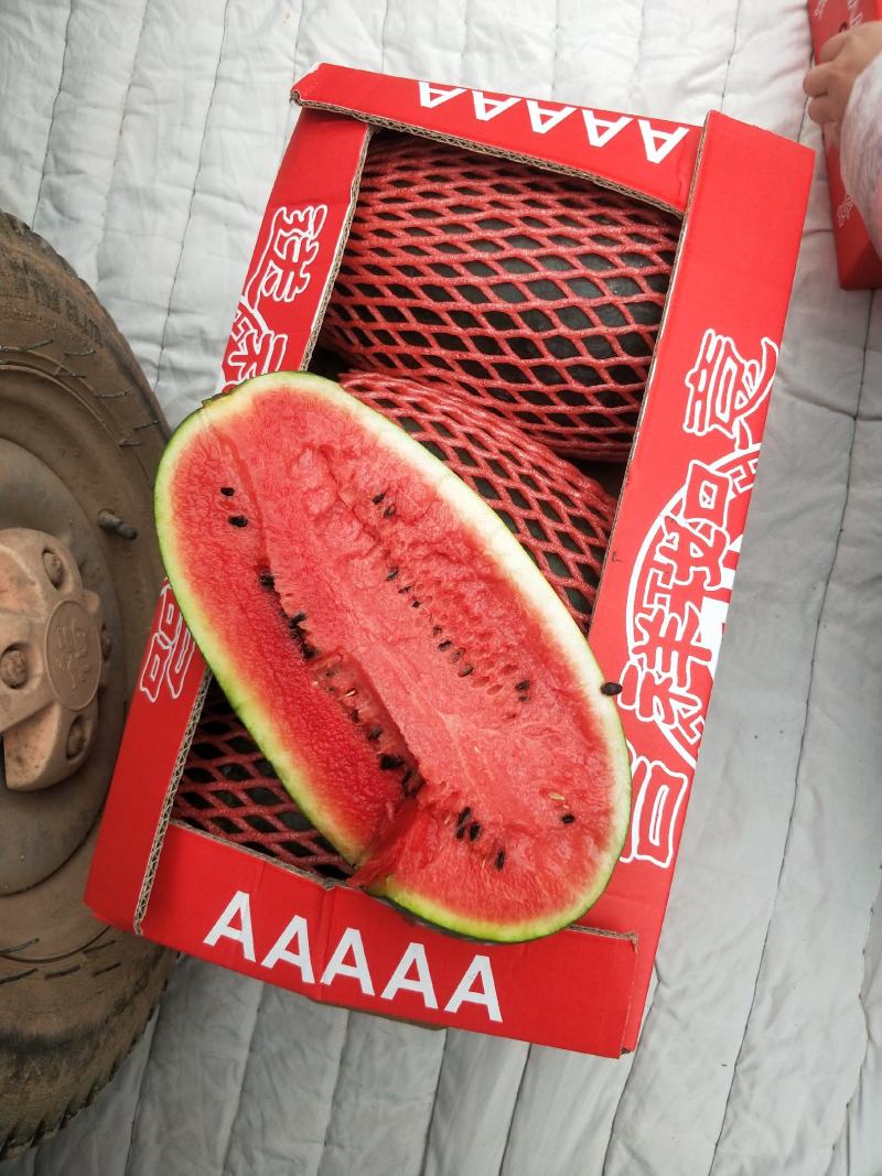 精品黑美人西瓜一箱3粒电商**保质保量一手货源