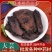 内蒙古肉苁蓉阿拉善肉苁蓉片野生大芸油肉苁蓉批发