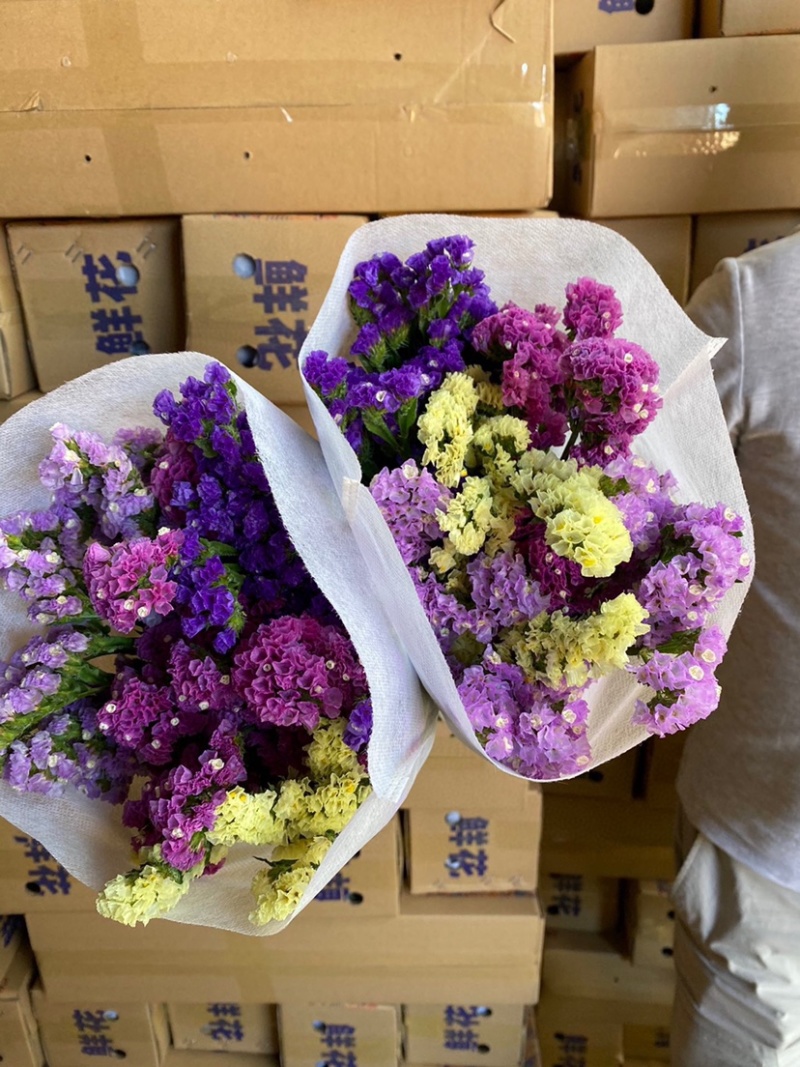 勿忘我干花批发云南鲜花按斤卖可一件代发社区团购平台对接