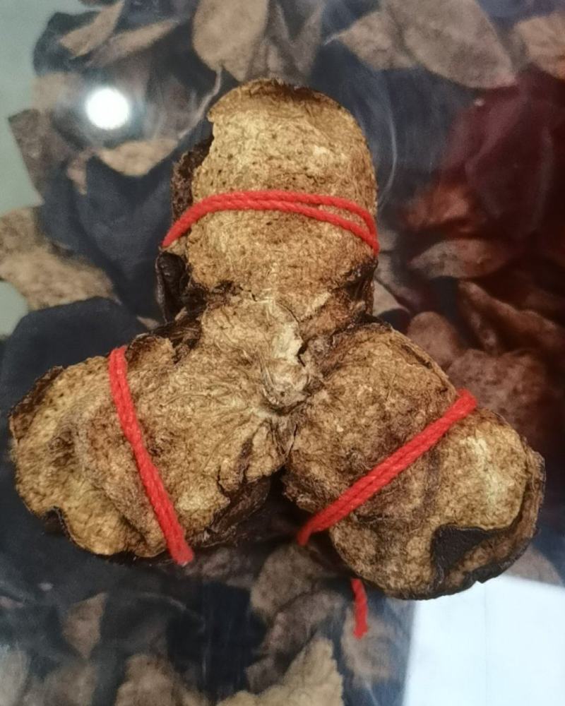 新会陈皮红绳扎把陈皮全国包邮批发零售现货