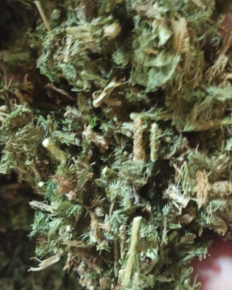 伸筋草中药材批发伸筋草质量保证量大从优