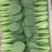 蚌埠油菜/蚌埠上海青/万亩大棚/产地直销/常年有货