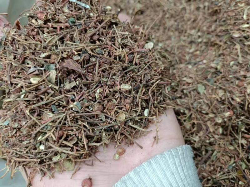 【推荐】韩城精品花椒杆花椒枝子货源充足需要可联系