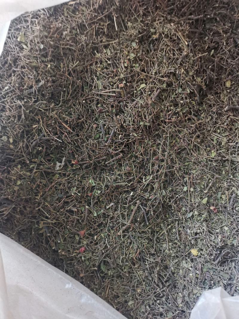 【推荐】韩城精品花椒杆花椒枝子货源充足需要可联系