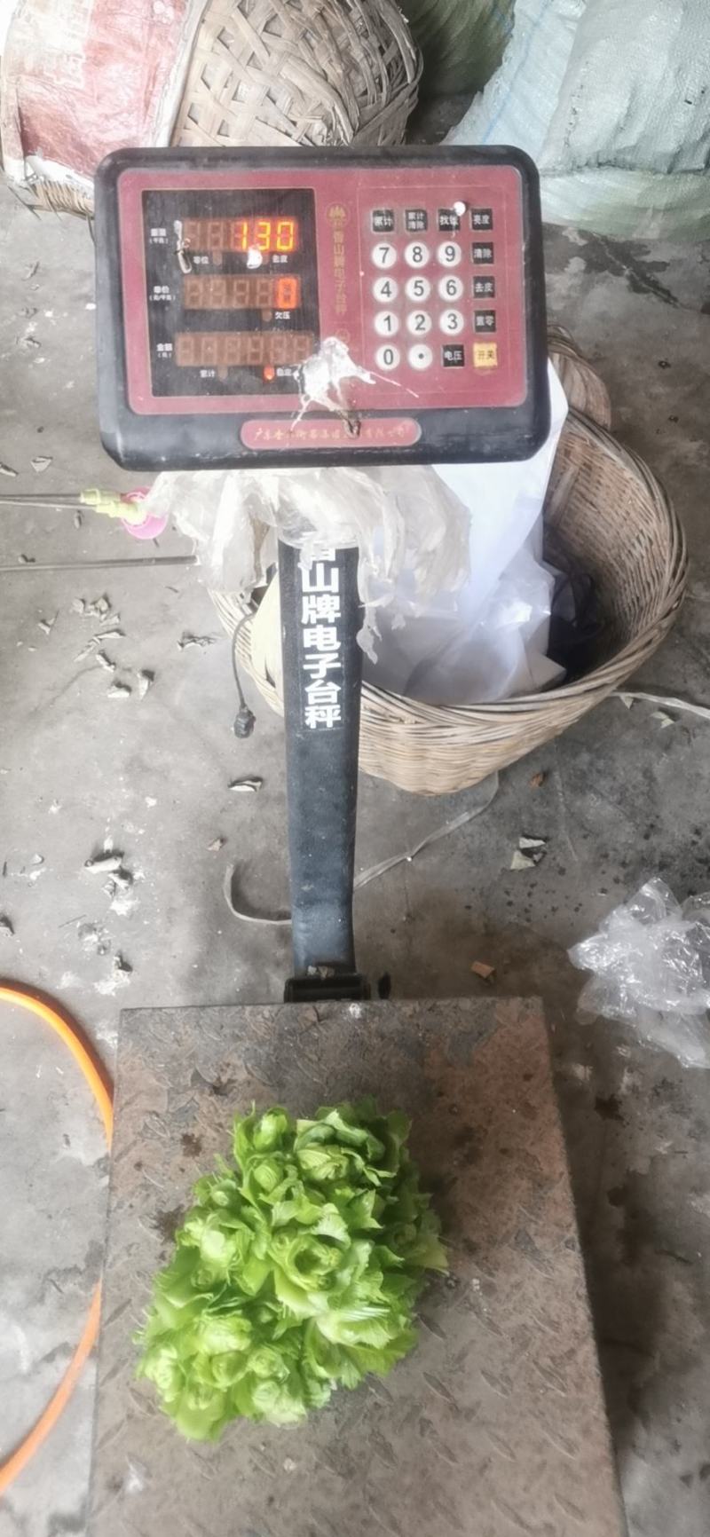 崇州精品儿菜，大心小心都有，云南货，重庆货大量上市中…