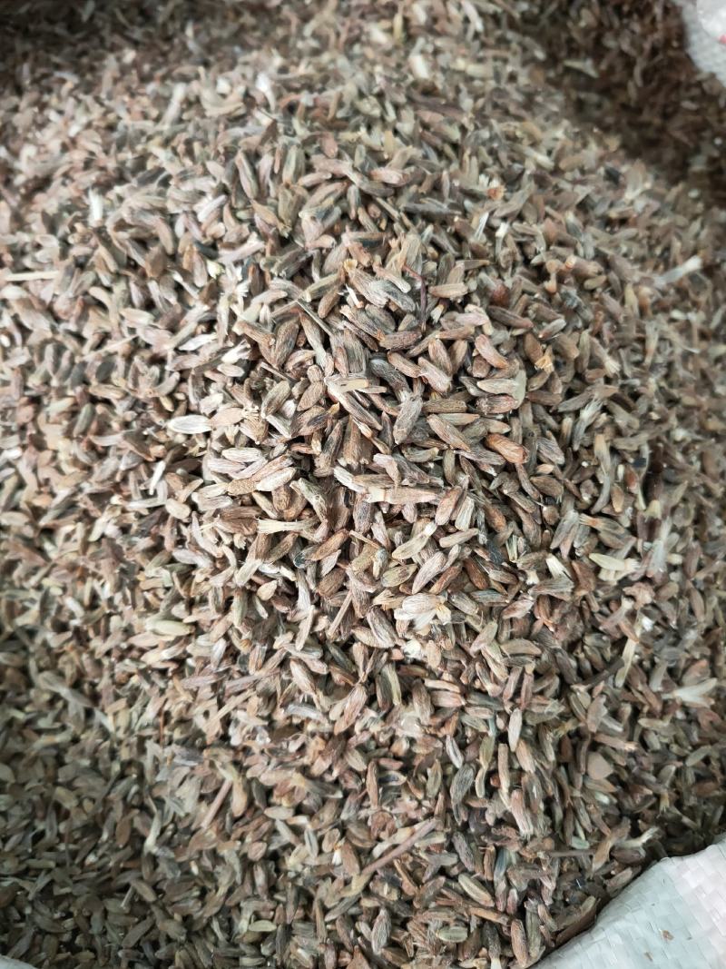 纯新改良两年白术籽，包芽率，改良紫皮白术种子，