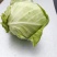 （加工厂电商）精品旺旺甘蓝，加工厂电商菜，需要联系