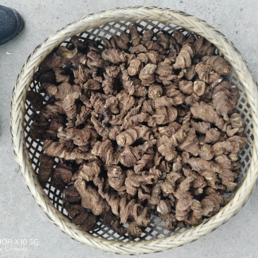 七叶一枝花，干货