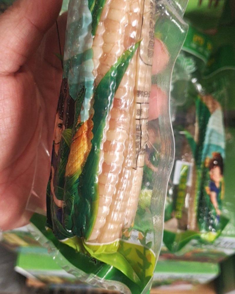 香糯小玉米